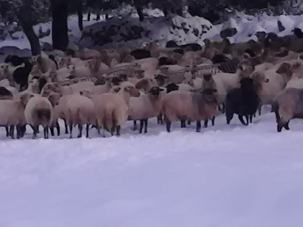 Evangelia Agia Efimia Екстер'єр фото